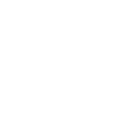 IELS Logo - White